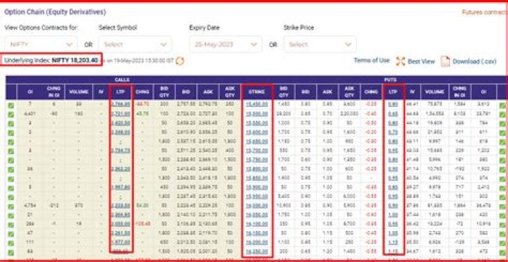 What does option date mean?