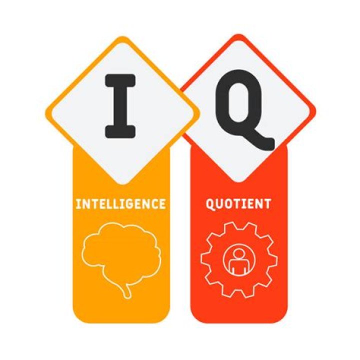 What does Q stand for in Q methodology?