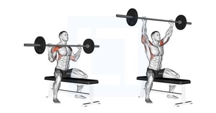 What does the barbell push press work?