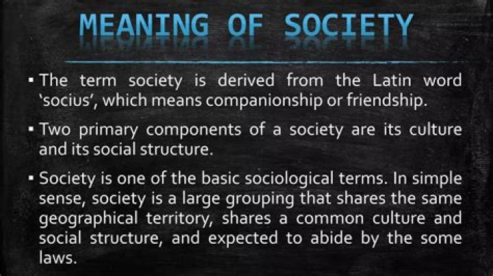 What does the Latin word raptor mean?