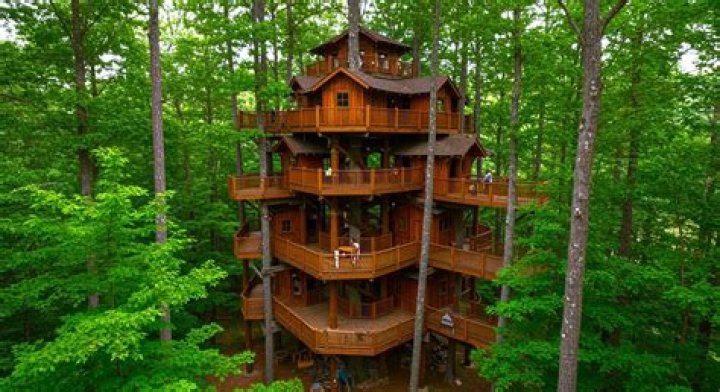 What does tree house company do?