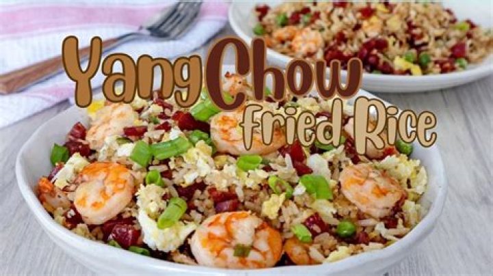 What does Yung Chow fried rice have in it?
