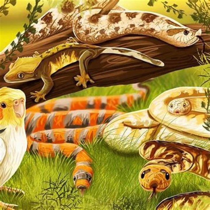 What family are reptiles in