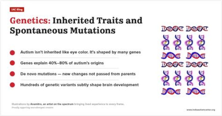 What gene mutation causes autism?