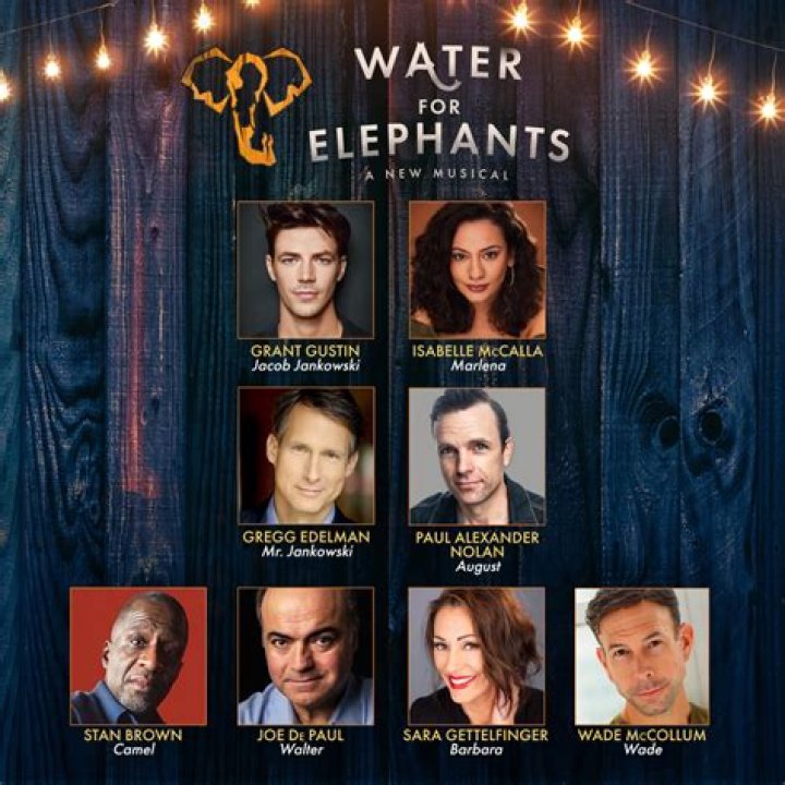 What genre is Water for Elephants