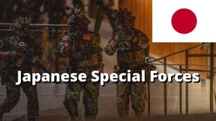 What gun does the Japanese special forces use?