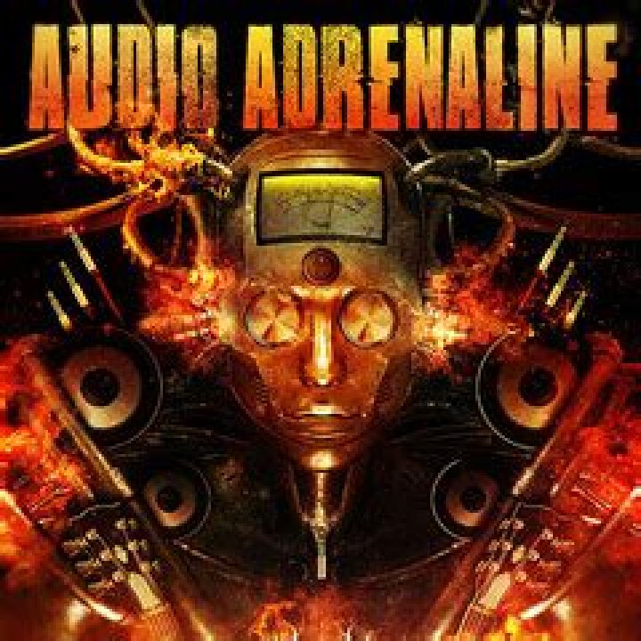What happened Audio Adrenaline?