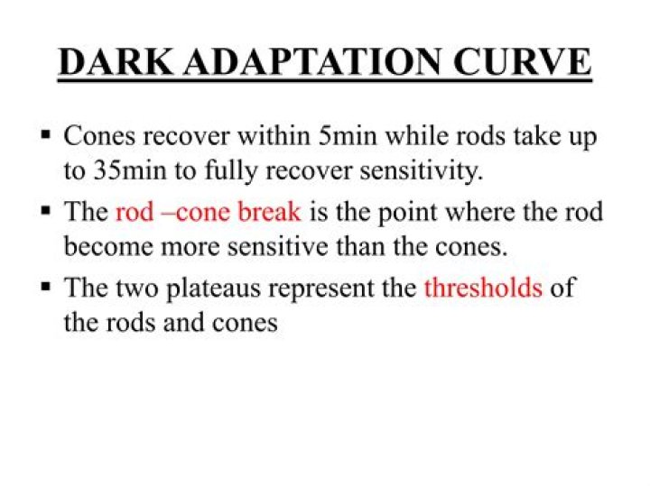 What happens to rods and cones during dark adaptation?