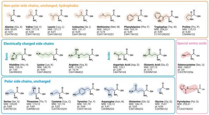 What happens when acids are added to sulphites?