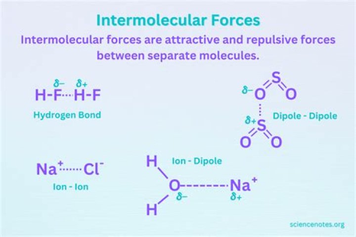 What intermolecular forces are present in 2-Heptanone?