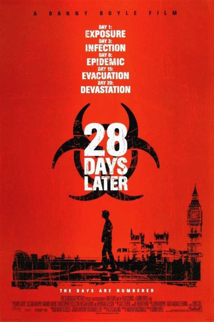 What is 28 days the movie about?