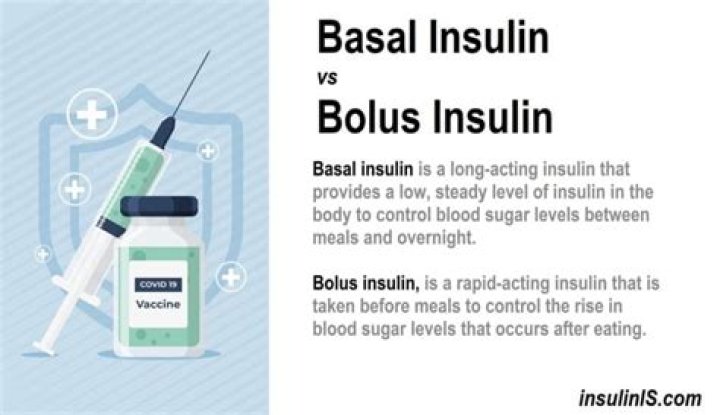 What is a basal bolus insulin regimen?