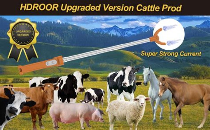 What is a cattle prodder?
