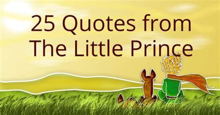 What is a famous quote from the Little Prince?