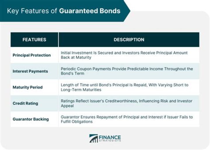 What is a government guaranteed bond?