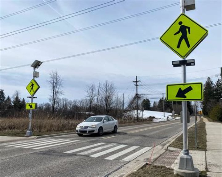 What is a pedestrian crossing light?