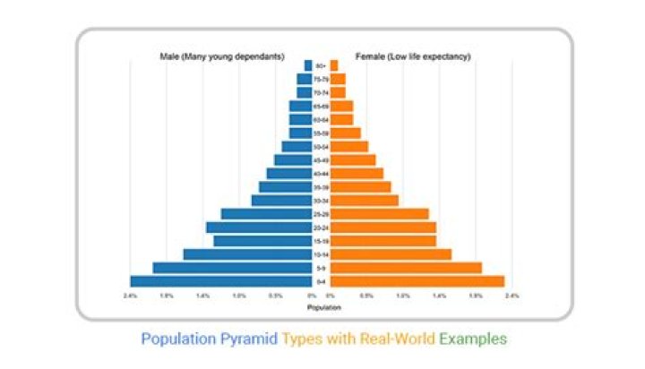 What is a population pyramid MCQ questions?
