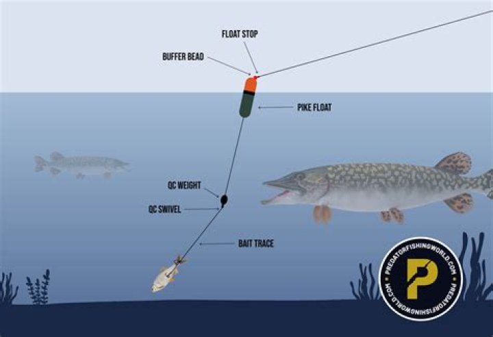 What is a rover fishing match?