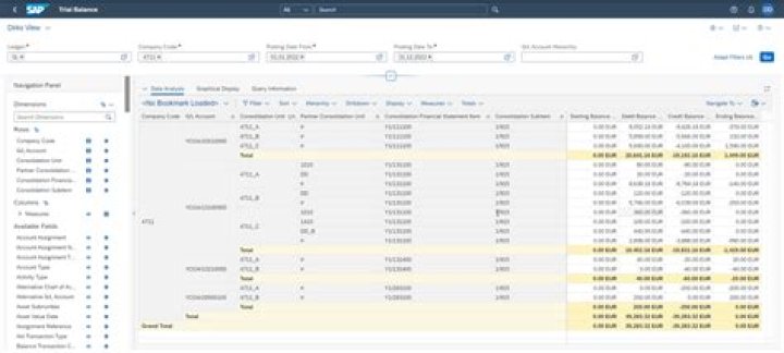What is a SAP financial system?