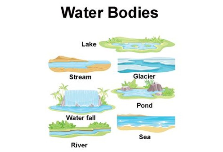 What is a small body of freshwater