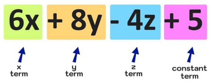 What is a term number in algebra?