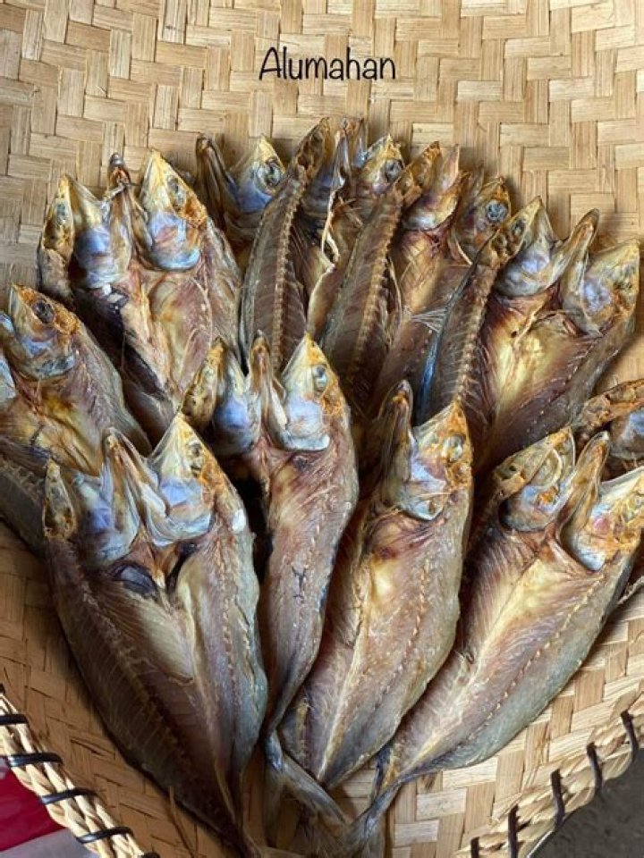 What is Alumahan fish in English?