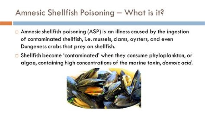 What is amnesic shellfish poisoning?