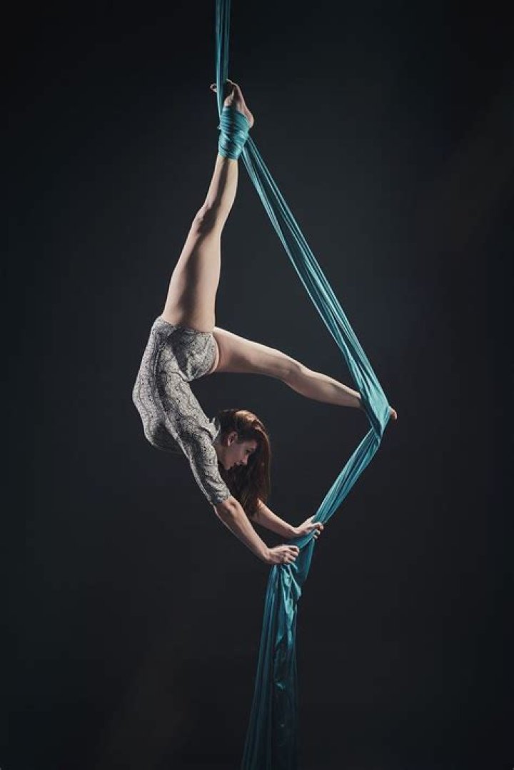 What is an aerial artist?