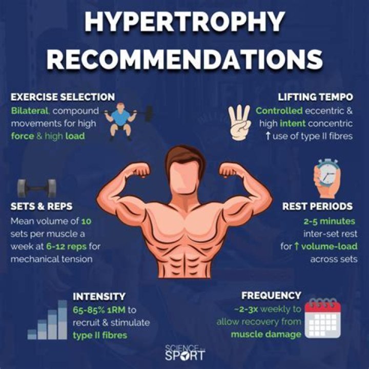 What is an example of a hypertrophy workout?