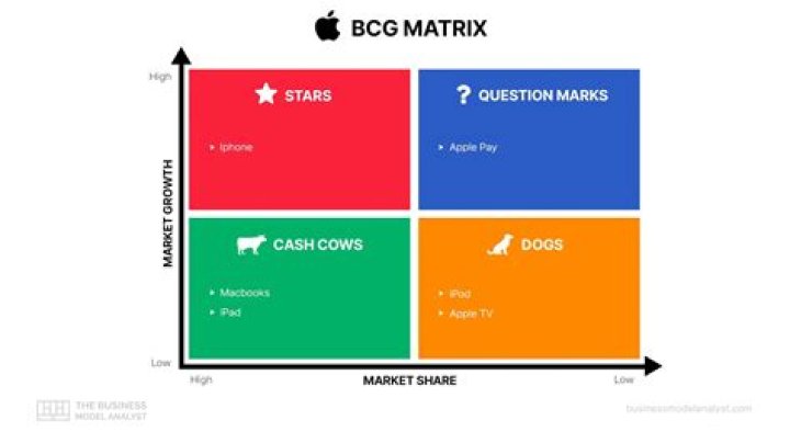 What is BCG matrix used for