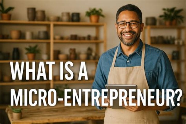 What is considered micro entrepreneur?
