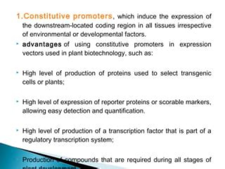 What is constitutive promoter?