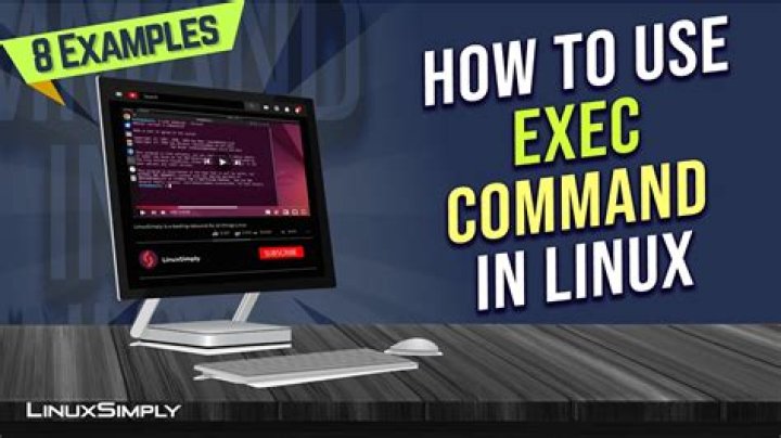 What is exec command in Unix