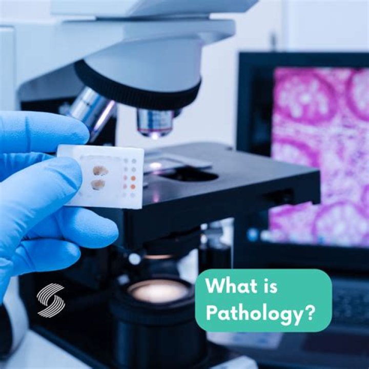 What is fellowship in pathology?