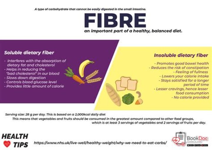 What is fibre define briefly?