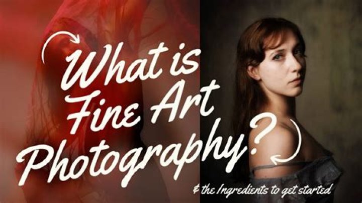 What is fine arts program?