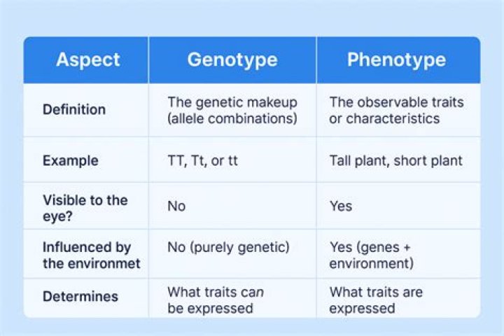 What is genotype in science definition
