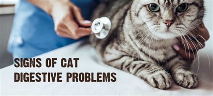 What is GI tract problems?