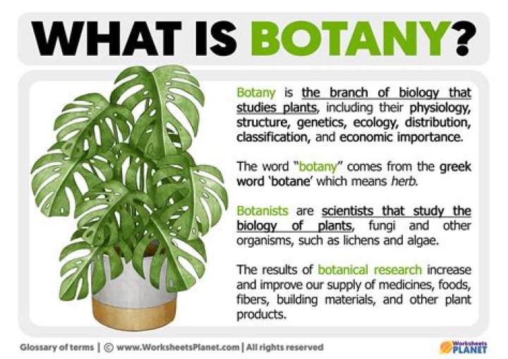 What is herbivory botany?