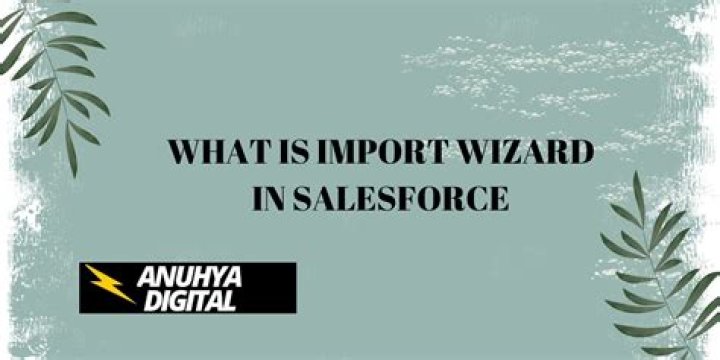 What is import wizard in Salesforce