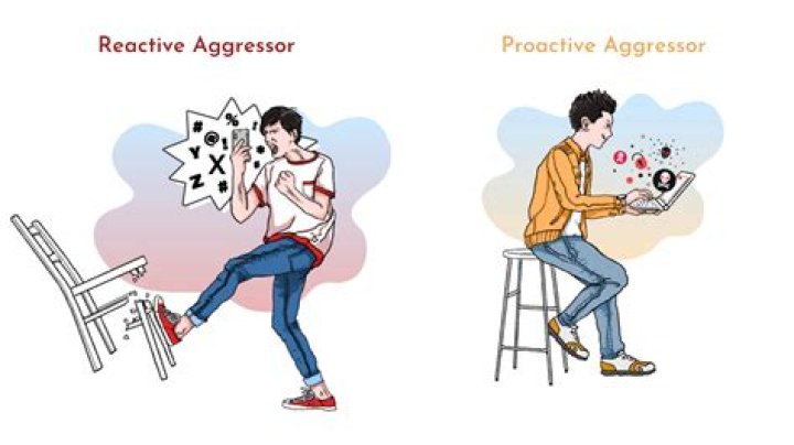 What is inter male aggression?