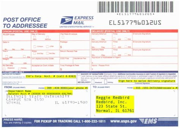 What is international express mail service?
