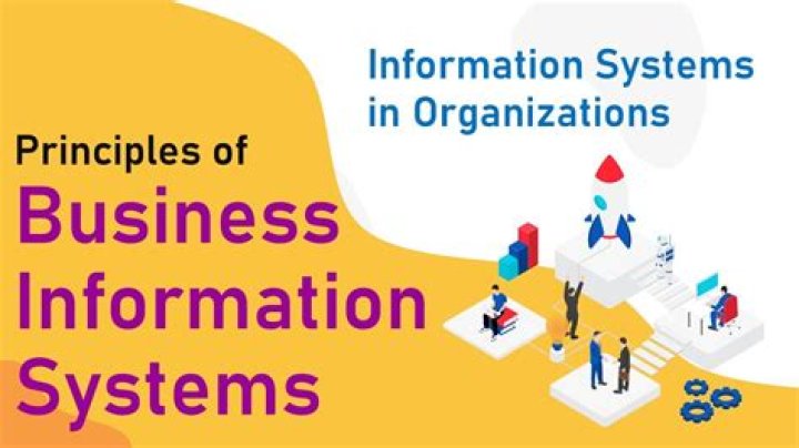 What is introduction to business Information System?