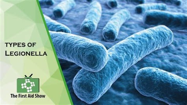 What is Legionella antigen?