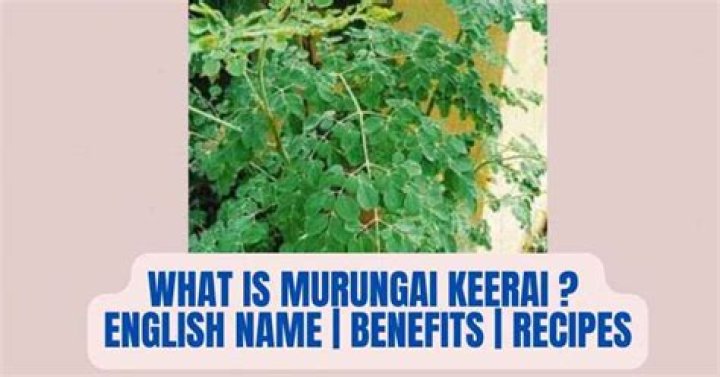 What is mullu Murungai in English?