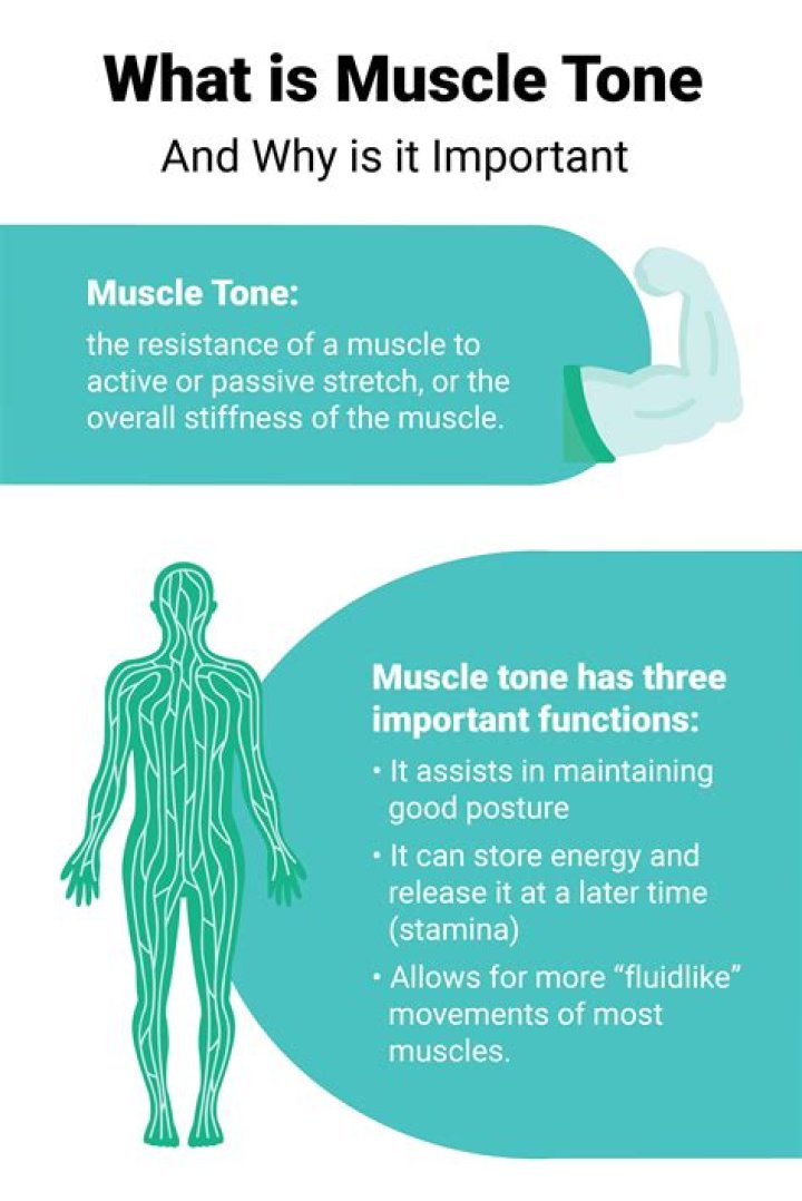 What is muscle tone quizlet