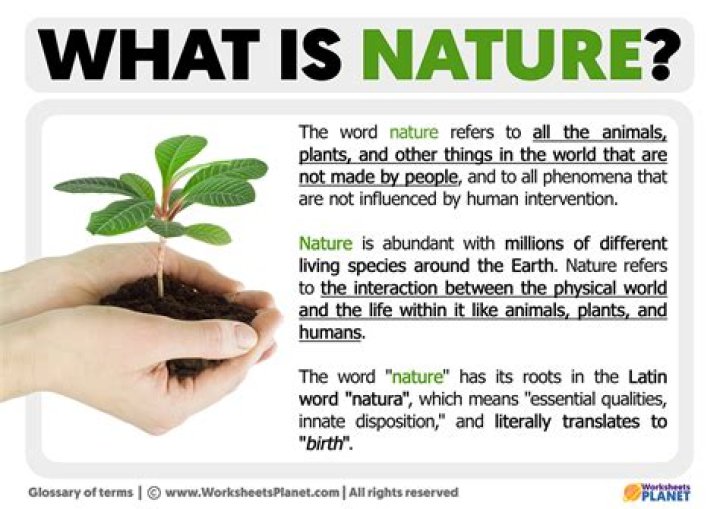 What is nature and its importance?
