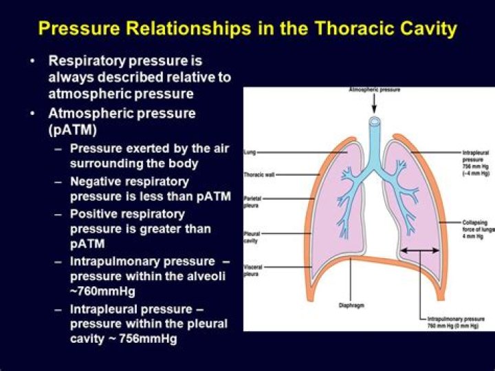 What is negative pressure in the thoracic cavity