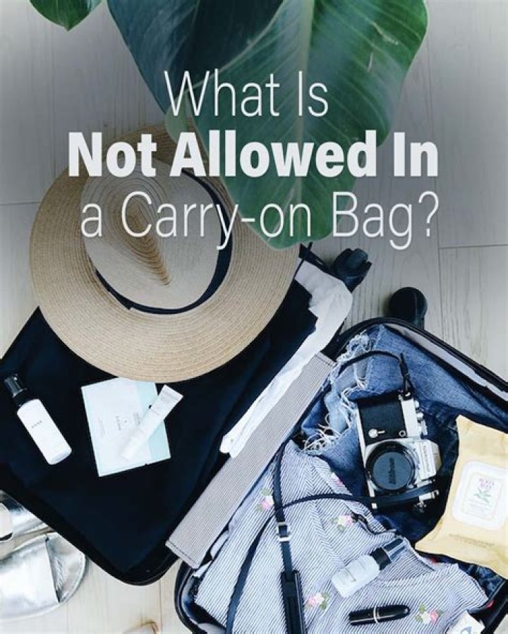 What is not allowed in a carry on bag Delta?