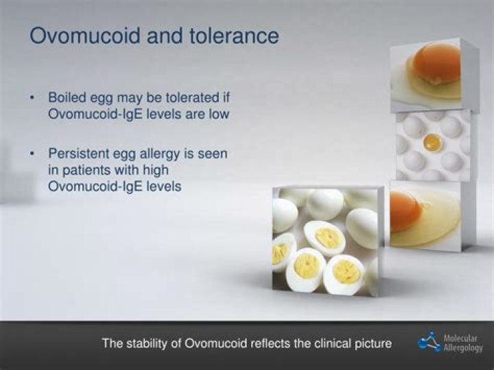What is Ovomucoid allergy?
